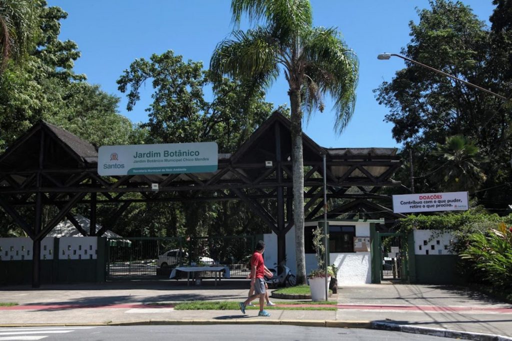 Passeio guiado no Jardim Botânico de Santos permite observar aves