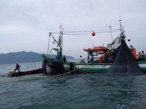Rede de pesca irregular é retirada pela PM do Porto de Santos