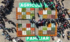 Lula sanciona Programa de Aquisição de Alimentos com projeto do MTST