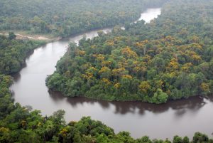 Cúpula da Amazônia começa nesta terça-feira em Belém