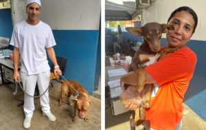 Guarujá reduz número de animais abandonados