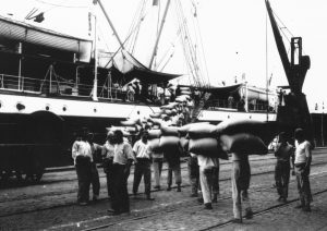 Instituto produz livro sobre a história do Porto de Santos