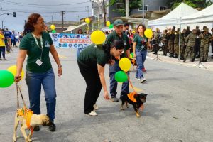 Cães disponíveis para adoção participam do Desfile Cívico em São Vicente