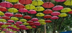 Festival de Primavera em São Vicente