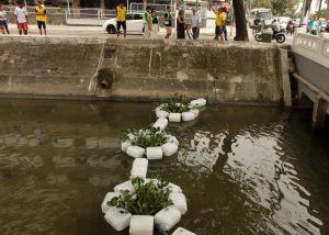 Canais de Santos ganham barreiras ecológicas