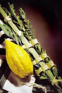 O simbolismo do Lulav e Etrog