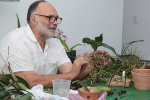 Curso gratuito ensina sobre manejo de orquídeas