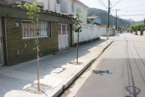 Santos planta 1.283 árvores em memória aos gols de Pelé