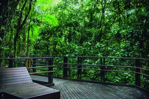 Sesc Bertioga convida para uma imersão na natureza neste fim de semana