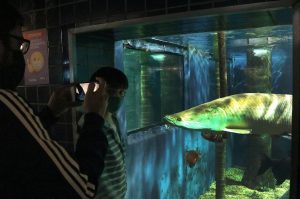 Aquário abre mais de mil vagas para programação de férias