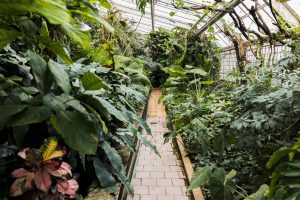 Jardim Botânico tem programação especial em dezembro