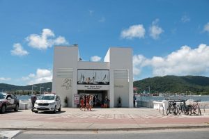 Ponte Edgard Perdigão é entregue totalmente revitalizada