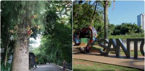 Jardim Botânico e Lagoa da Saudade são opções de lazer além da praia