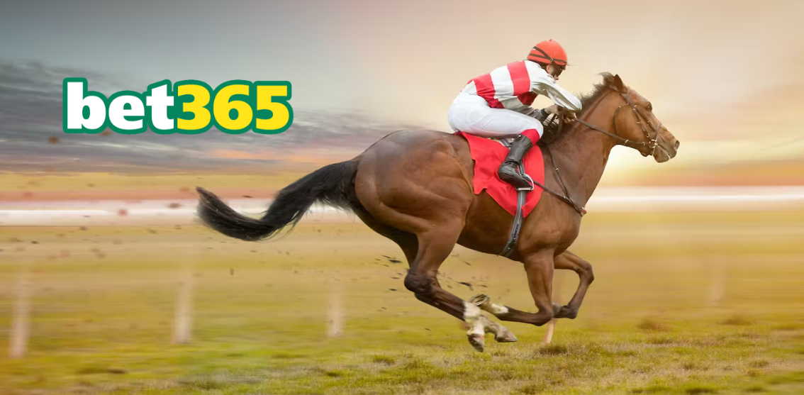 Dominando Apostas em Corridas de Cavalos na Bet365 | Jornal da Orla