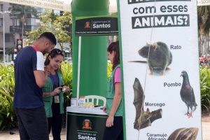 Mutirão contra o Aedes em Santos elimina 131 focos com larvas