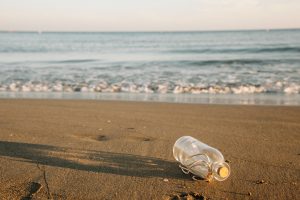 Mutirão de limpeza coleta 88 toneladas de lixo nas praias do Guarujá