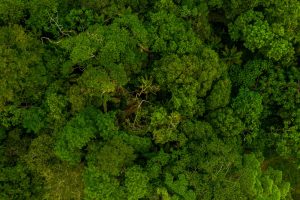 São Paulo lança plano de de Adaptação e Resiliência Climática