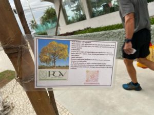 Rua Trabulsi recebe plantio de ipês-amarelos
