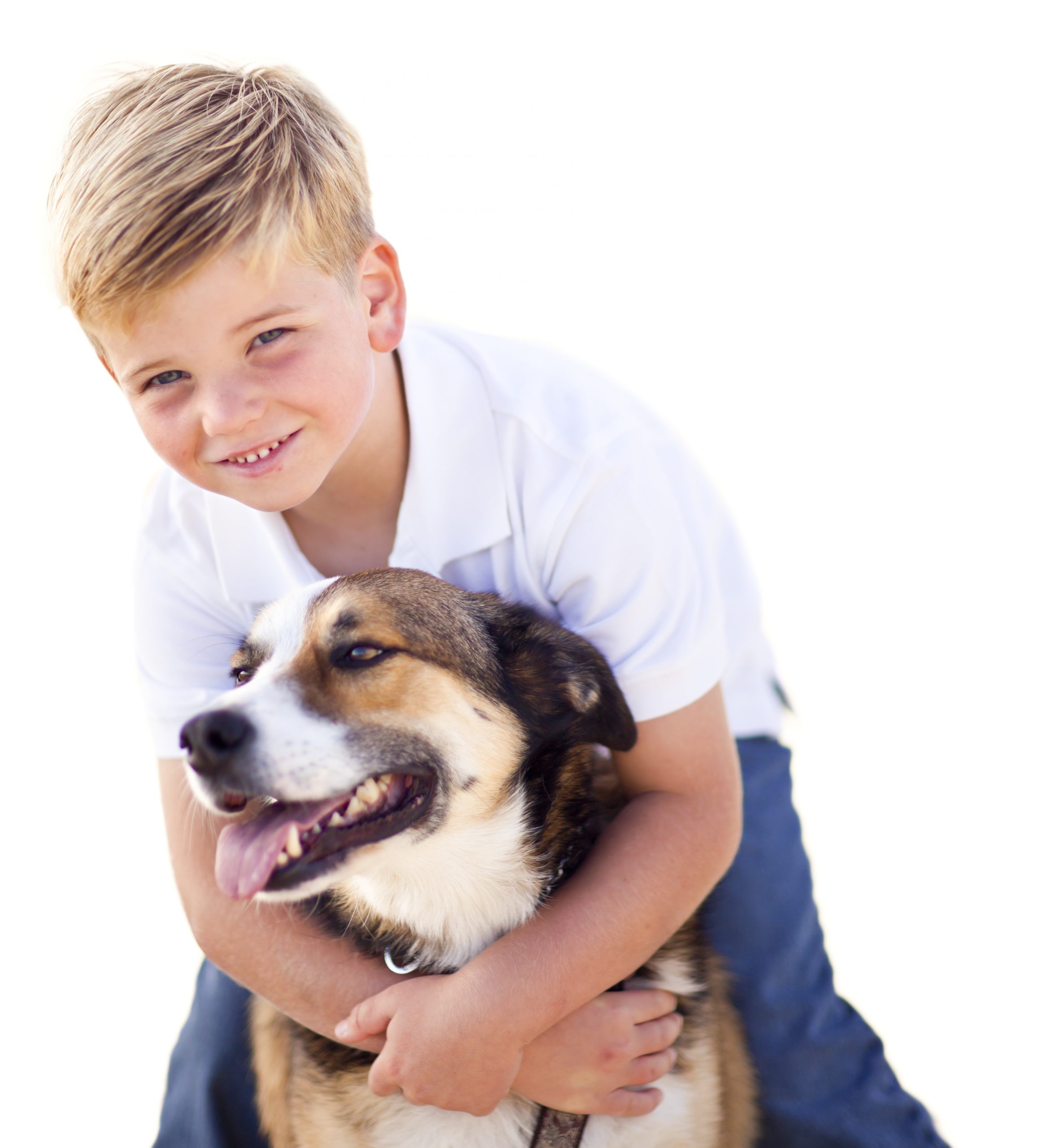 Pets trazem benefícios ao desenvolvimento das crianças | Jornal da Orla