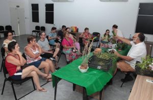 Orquidário de Santos promove festival