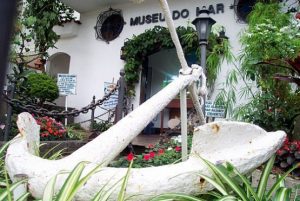 Museu do Mar em Santos recebe exemplar raro de tubarão