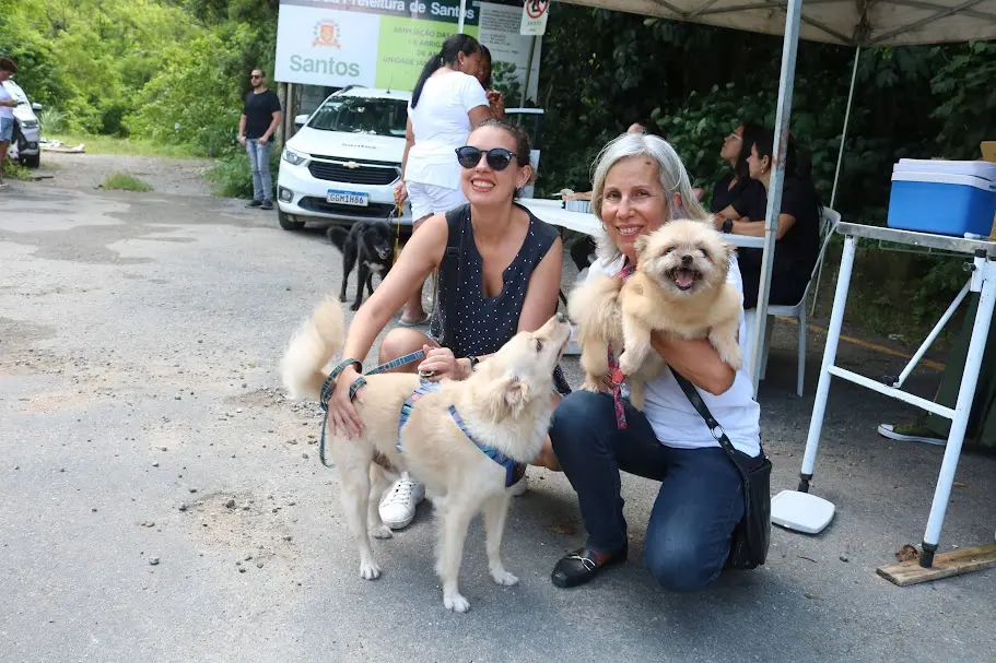 Campanha de vacinação de cães segue até março em Santos
