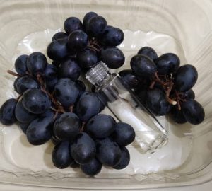 Embrapa desenvolve embalagem sustentável que prolonga vida útil de vegetais frescos