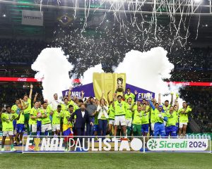 Com pênalti polêmico, Palmeiras é campeão em cima do Santos