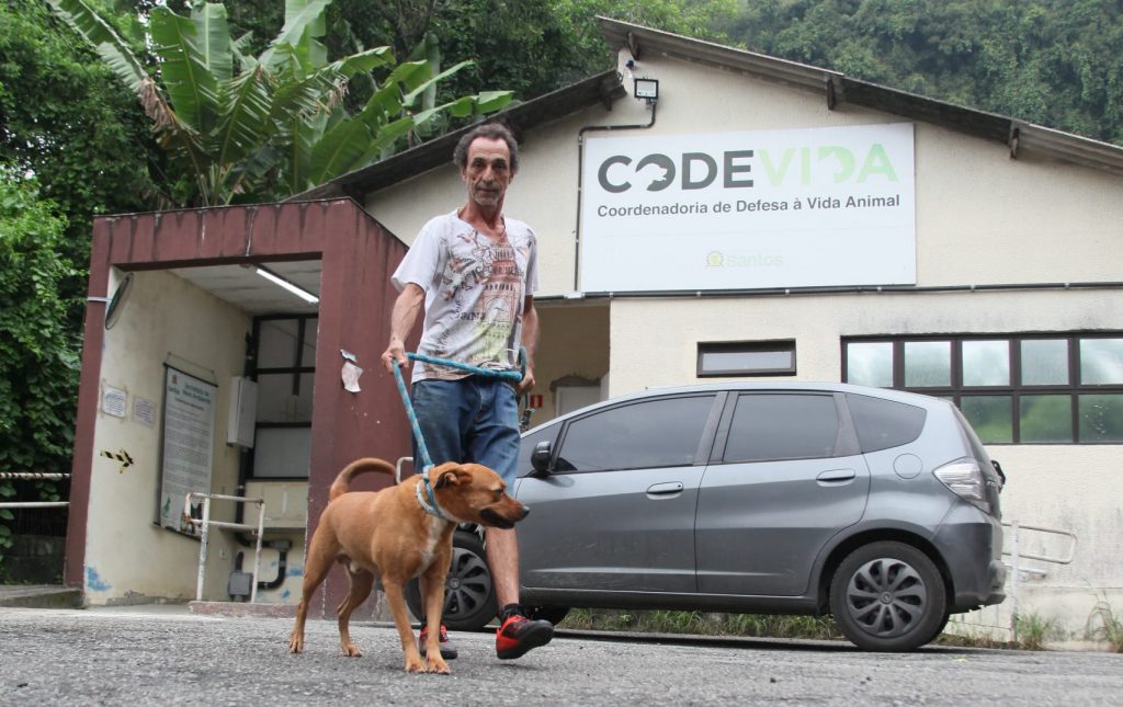 Ação voluntária em Santos estimula interação com pets em abrigos