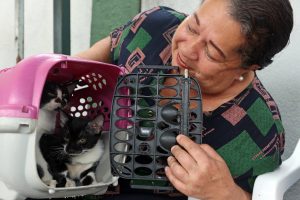 Santos ganha 1º Hospital Público Veterinário