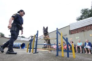 Idosos recebem visita de cães da Guarda Municipal