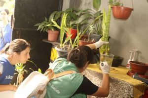 Mutirão contra o Aedes chega à Zona Noroeste