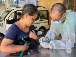 Santos implementa estratégias para o controle da Leishmaniose em animais