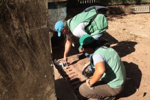 Agentes realizam vistoria no Orquidário para combater mosquito da dengue