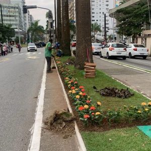 Santos dá início à renovação do paisagismo com mais de 3 mil flores