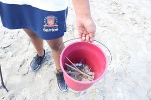 Mutirão de limpeza tem a presença de alunos da rede municipal