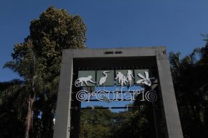 Orquidário promove atividades no Mês da Mata Atlântica