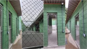 Unidade de Defesa Animal de Santos ganha novas baias