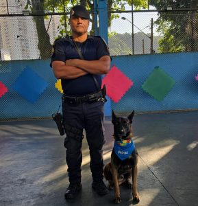 Pacientes de terapia com cães da Clínica-Escola do Autista de Santos demonstram avanços no tratamento