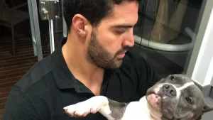 Latam é condenada a pagar R$ 30 mil após morte de cão em voo