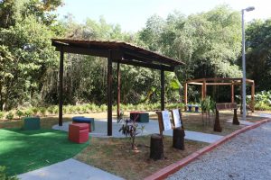 EcoEscola integrará alunos com a natureza em parque no morro