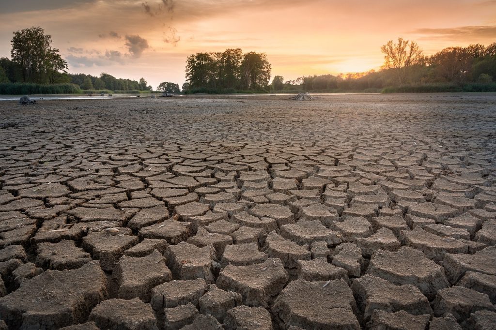 Governo de SP lança Plano Estadual de Resiliência à Estiagem