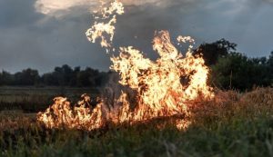 Municípios em estado de emergência por incêndios sobem 354%