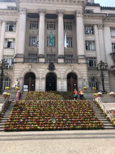 Flores tomam conta de Santos