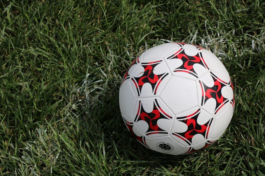 Botafogo e Palmeiras disputam novamente o título brasileiro