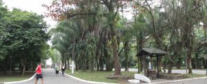 Jardim Botânico