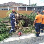 Oito vias passam por desobstrução após chuvas  