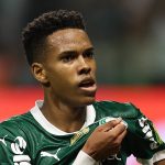 Palmeiras vence Botafogo de virada e evita queda precoce no Paulistão