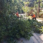 Prefeitura libera acesso à Estrada  Santa Cruz dos Navegantes