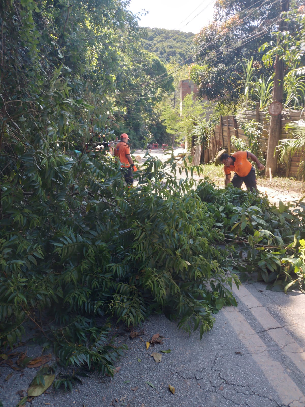 Prefeitura libera acesso à Estrada  Santa Cruz dos Navegantes | Jornal da Orla